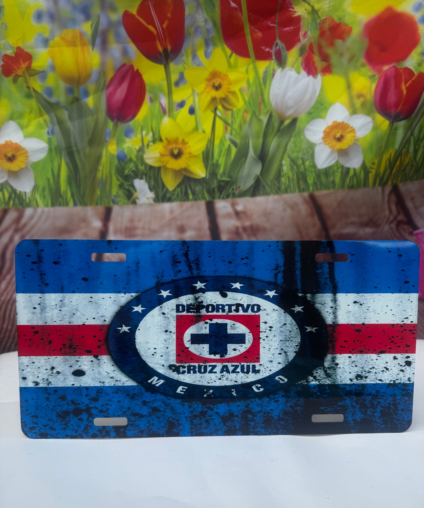 Cruz Azul License Plate